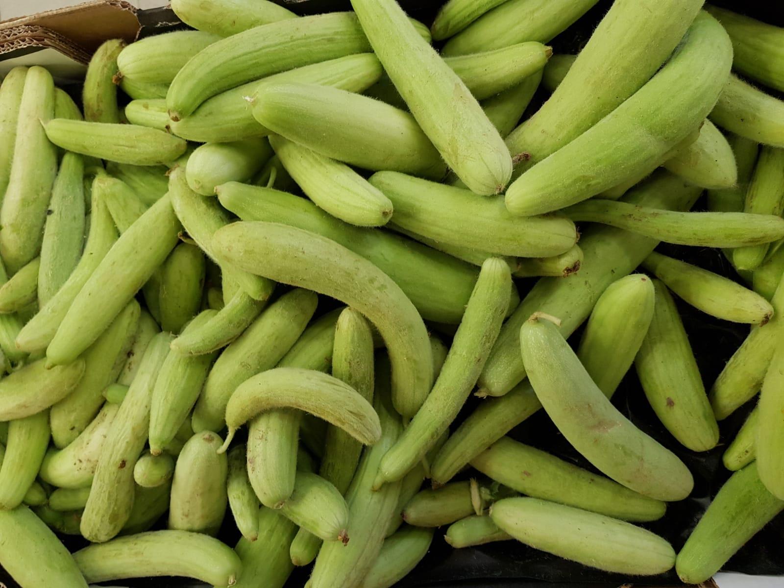 WhatsApp Image 2020-04-19 at 7.02.40 PM.jpeg.jpeg